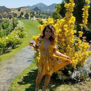 Meet your Posher, Elibes